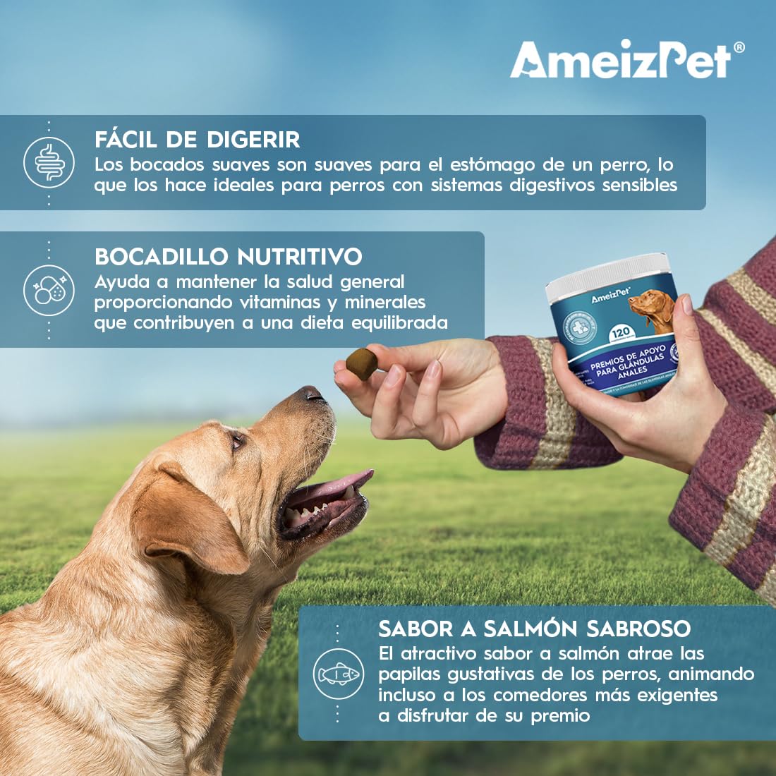 AmeizPet Tratamiento De Glándulas Anales para Perro, Golosinas Funcionales De Fibra Digestiva Perros Glándulas Masticables Saludables, 120 Chuches para Perros