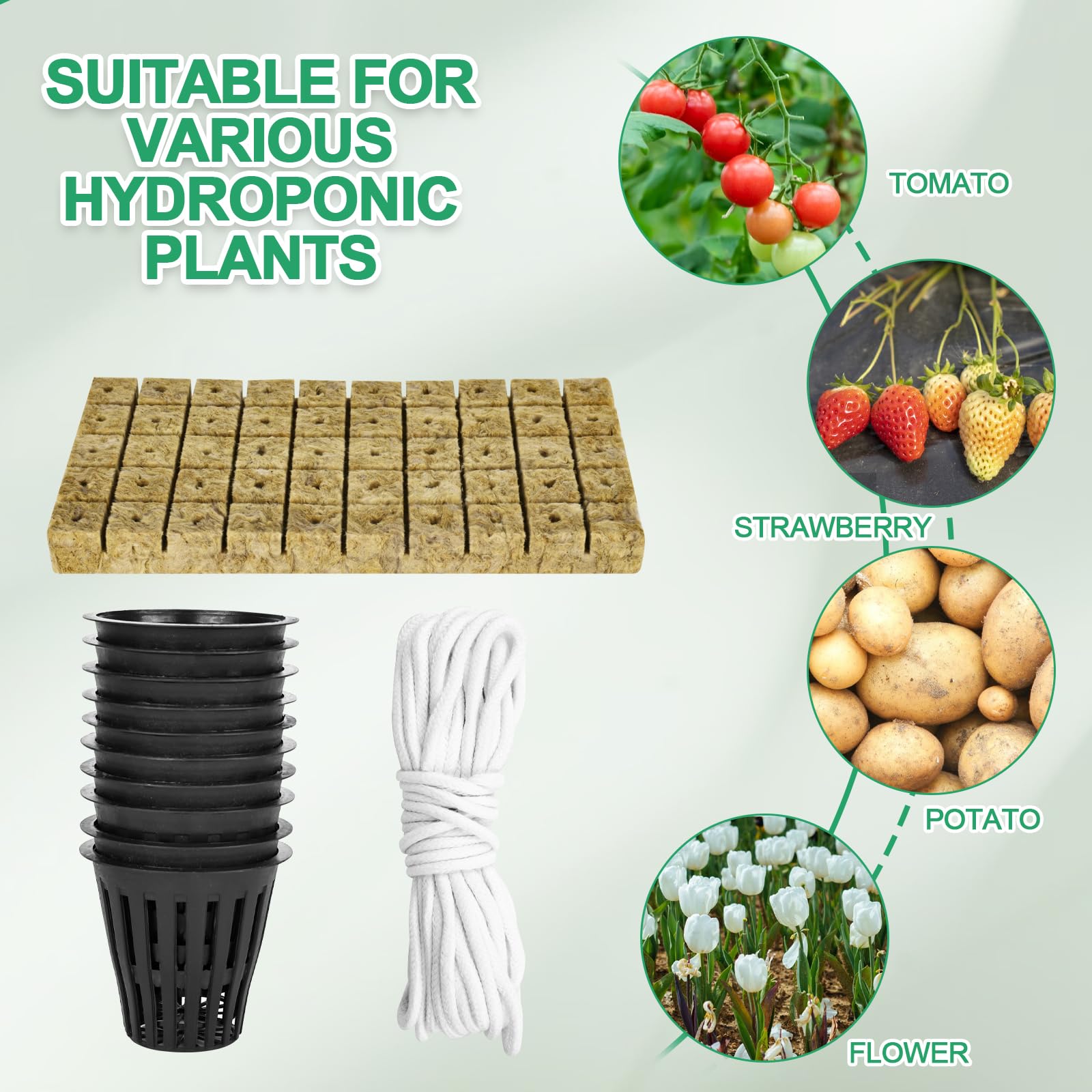 Set di 100 vasi a rete, per coltura idroponica, include 50 tazze a rete scanalate da 5 cm e 50 cubi per piantare in lana di roccia con stoppino autoirrigante da 10 m, per acquaponica per