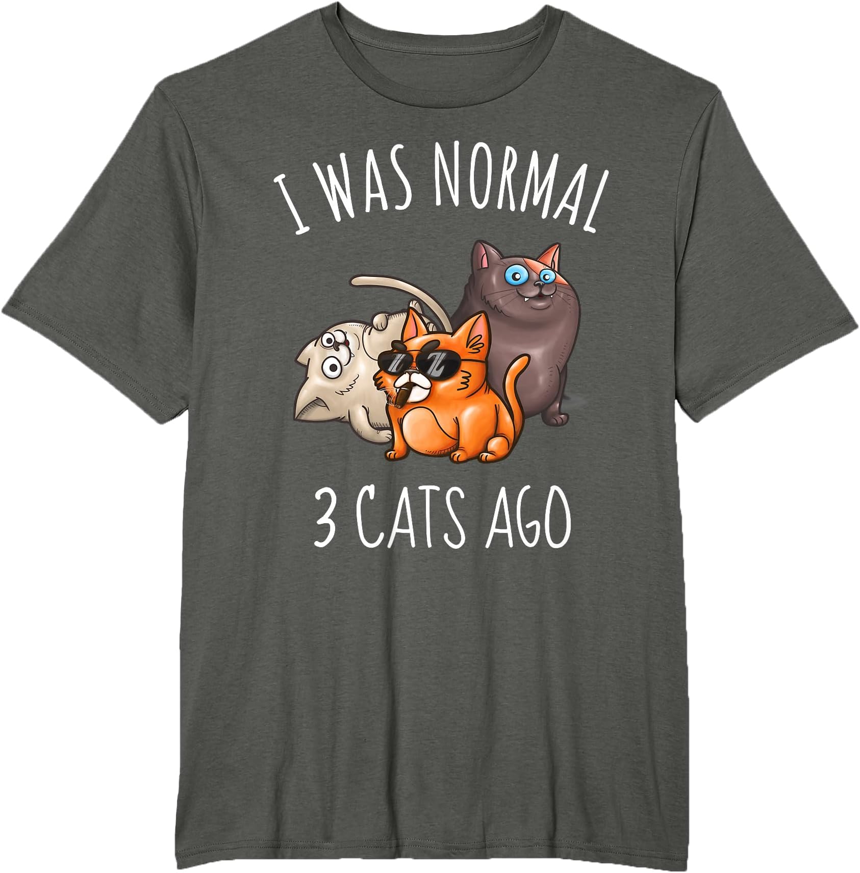 I Was Normal 3 Cats Ago Cat Dad Mom Crazy Cat Lady T-Shirt