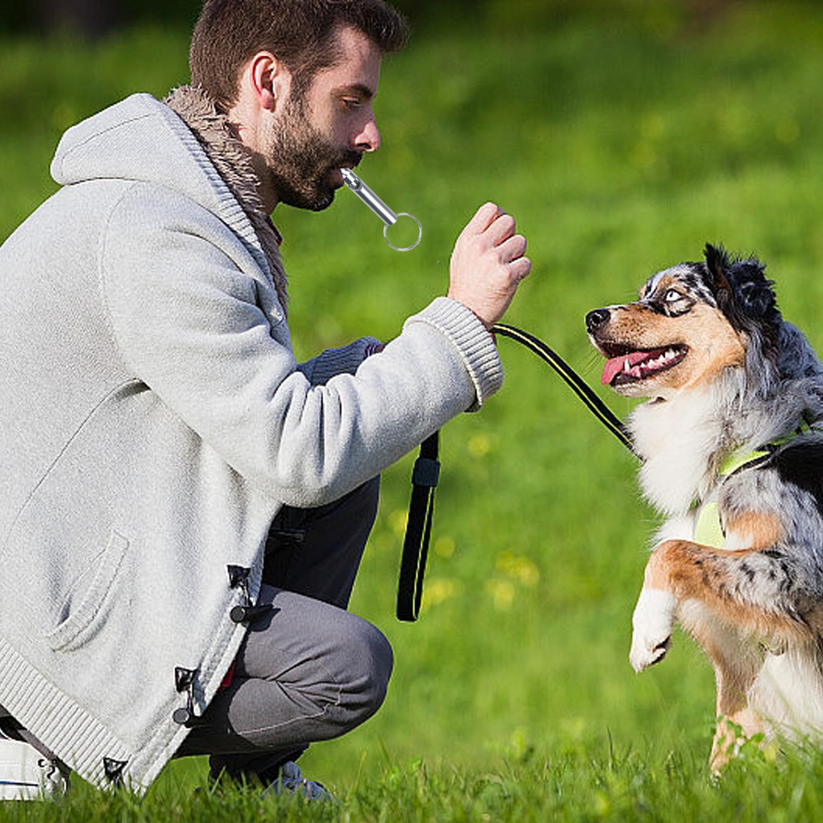 6 Pièces Sifflet Ultrason Chien Rappel Anti Aboiement Chat Rappel, Sifflet De Survie, Aluminium, Aides Au Comportement, Outils De Contrôle, et 6 Cordon Tour De Cou
