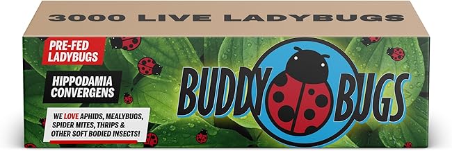 3000 Live Ladybugs | Hippodamia Convergens | Fun for Kids, Classrooms & Gardens | Guaranteed Live Arrival