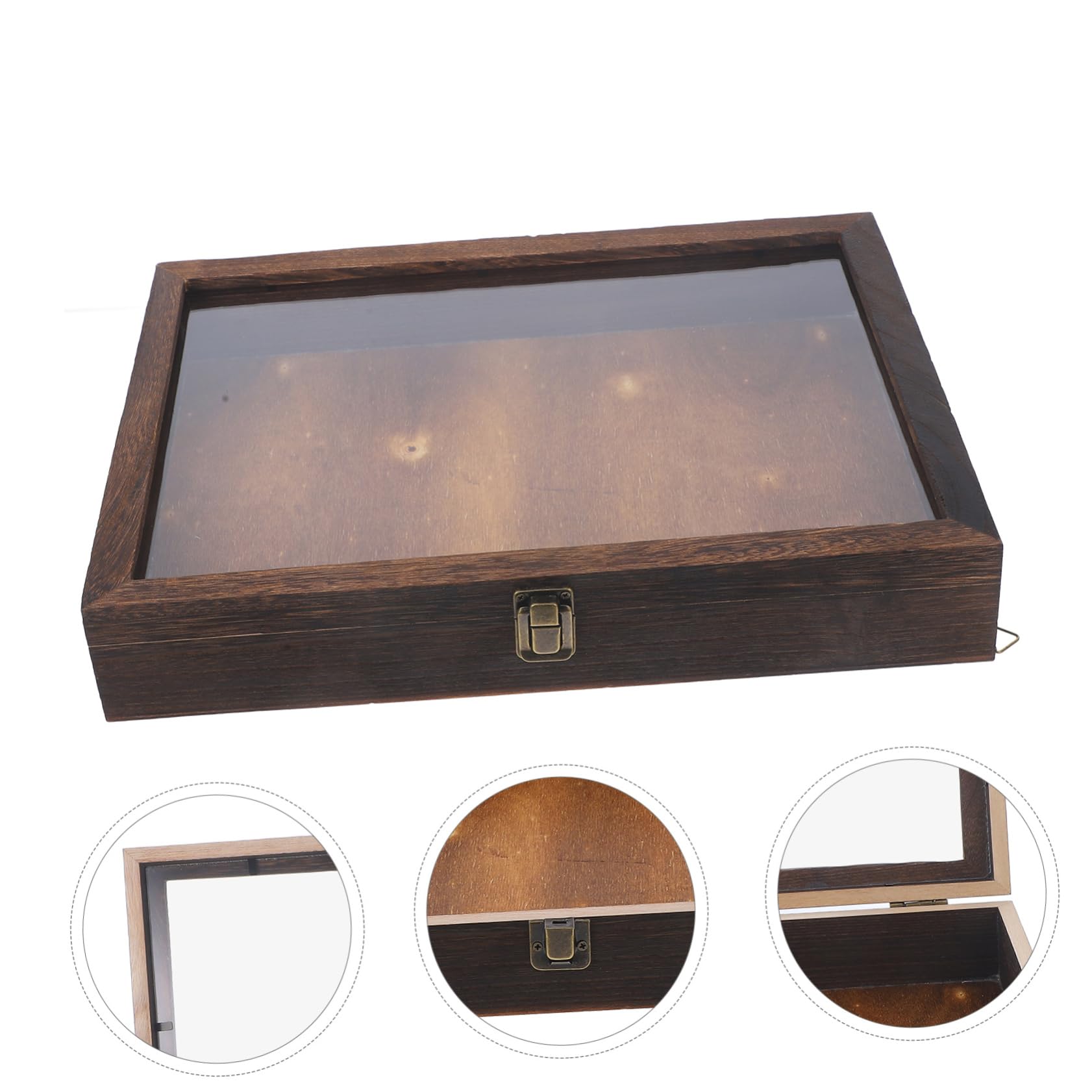 Mobestech Scatola per Conservazione Farfalle e Campioni di Visualizzazione Insetti in Legno Custodia Vintage Coperchio Trasparente per Gioielli e Artigianato