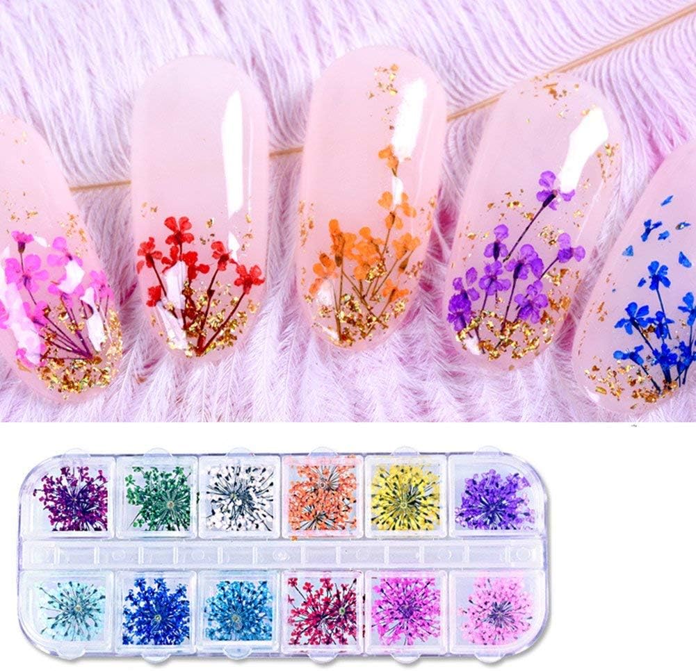 Amazon 1ボックス ドライフラワー レースのような柄 天然の押し花 12色x各5枚 合計60枚 １個ネイルサソリ レジンアートやネイル素材に 専用ケース入りアクセサリーパーツ プロのネイリストにもおすすめ セルフネイルやハンドクラフトにも使えるジェルネイル用デコ素材