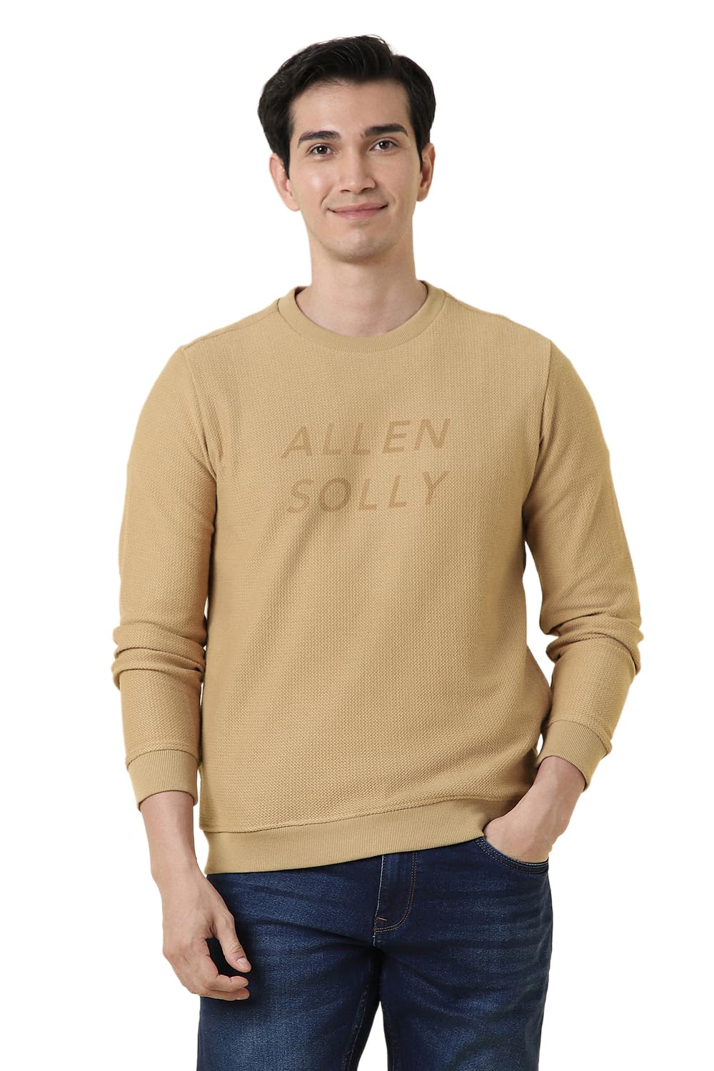 allen solly Men Sweatshirt-picture-29