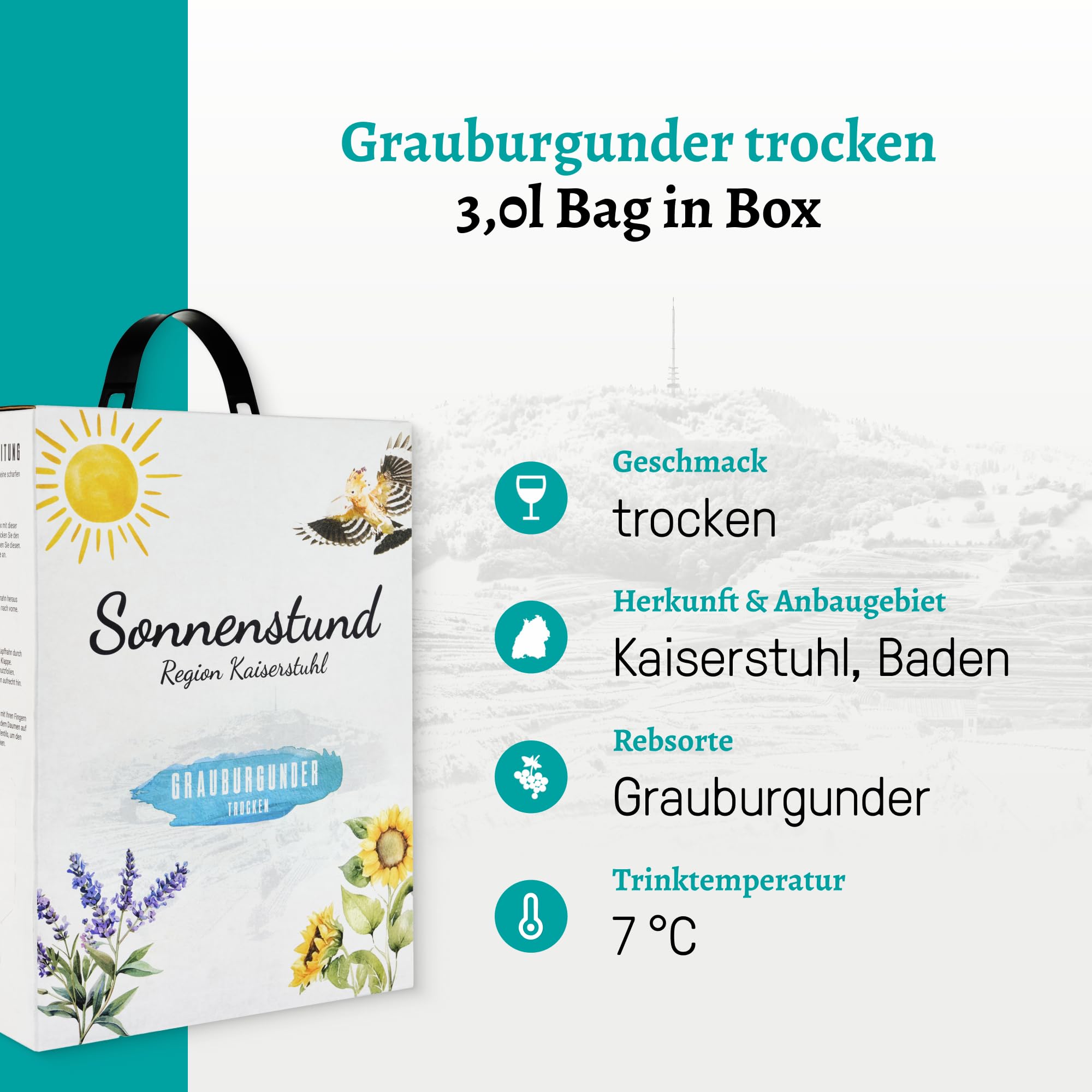 Sonnenstund Grauburgunder trocken 3 Liter Wein-Box - SILBER 2026 AWC Vienna - Zarte Fruchtaromen nach Pfirsich, Apfel und Zitrusfrüchten, Grauer Burgunder QbA vom Kaiserstuhl (2 x 3,0 l Bag-in-Box)