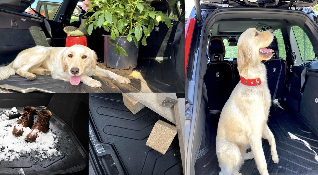 21410 Petex Ensemble De Tapis De Sol Caoutchouc, Avant Et Arrière