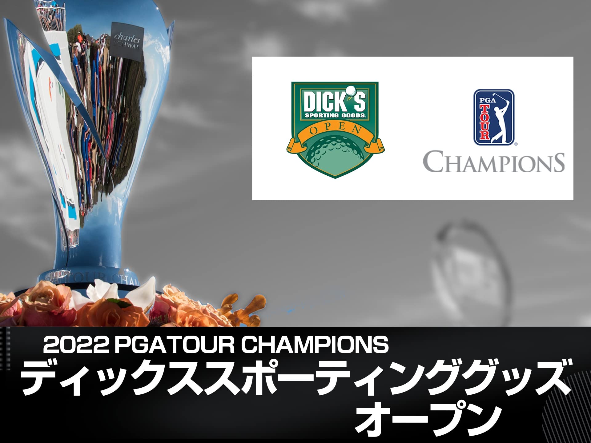 Amazon Co Jp コンステレーション フューリック フレンズを観る Prime Video