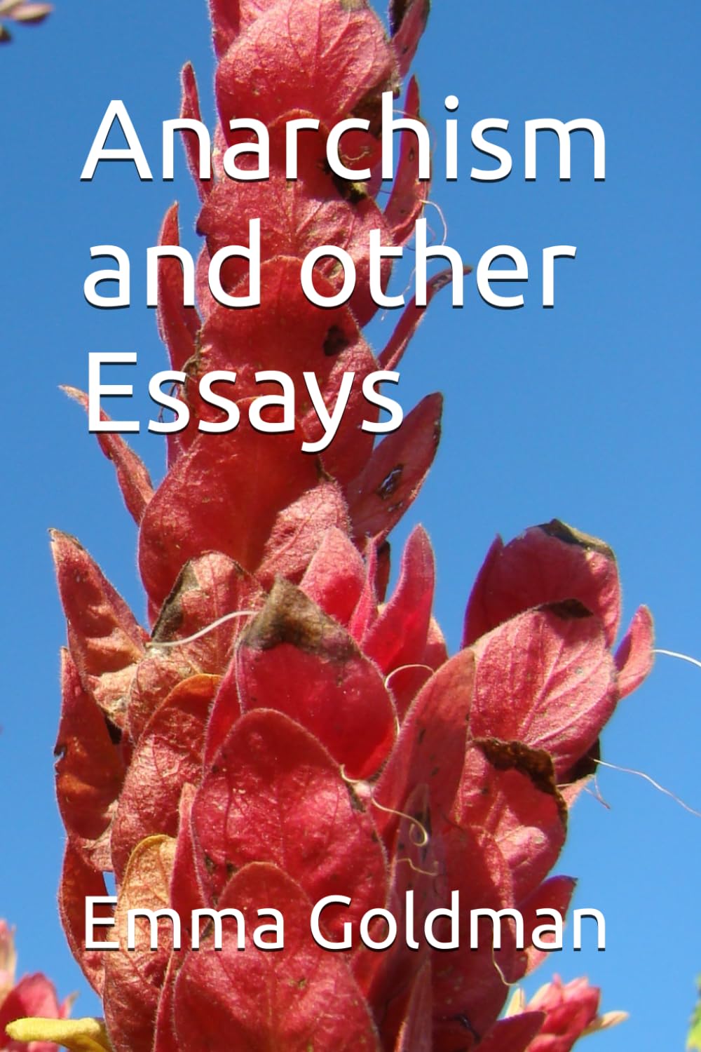 Anarchism and other Essays