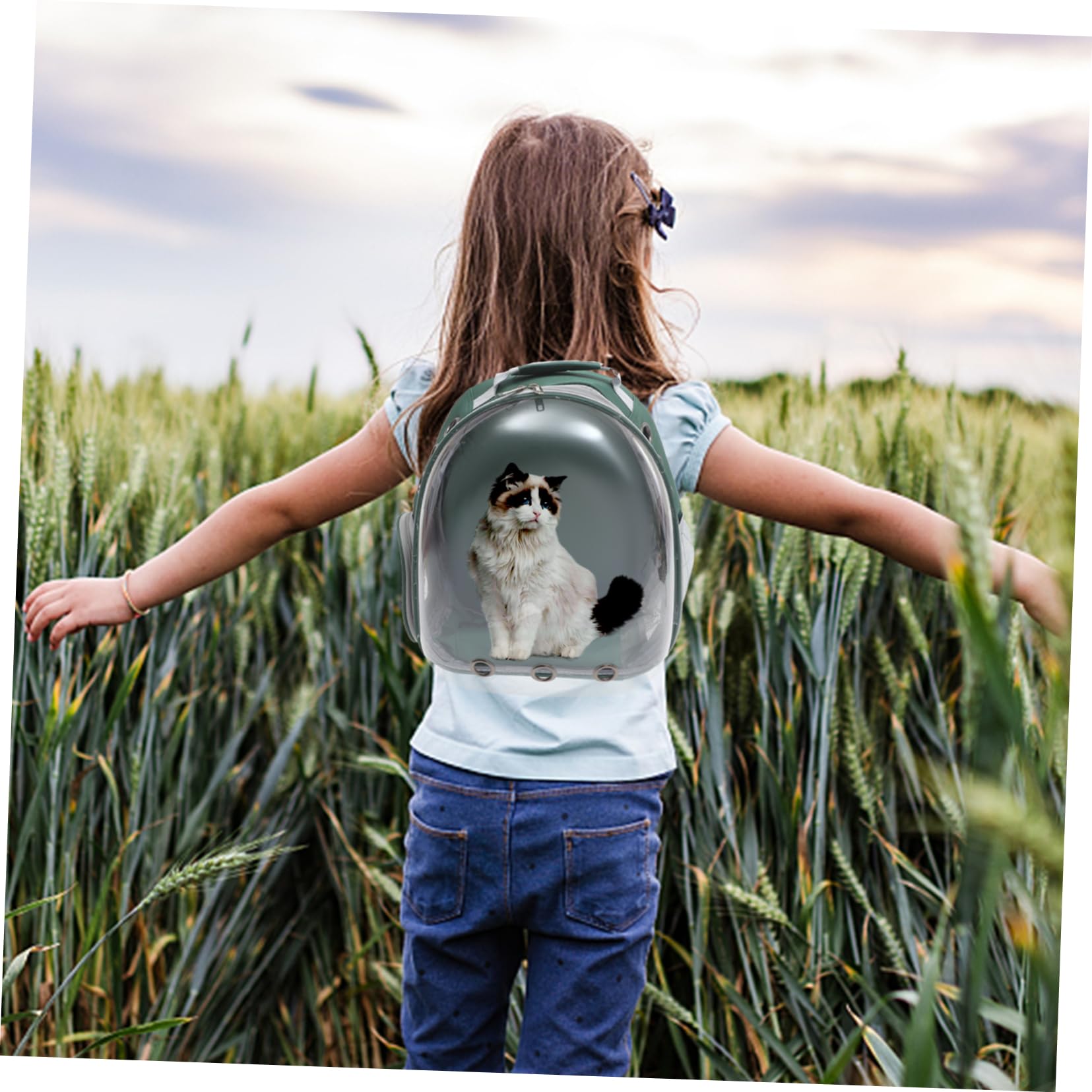 Zaino per Animali a Cupola Trasparente Portatile, Verde | Abs e Pc, Copertura Esterna Traspirante Ampie Aperture, Leggero per Passeggiate e Trekking