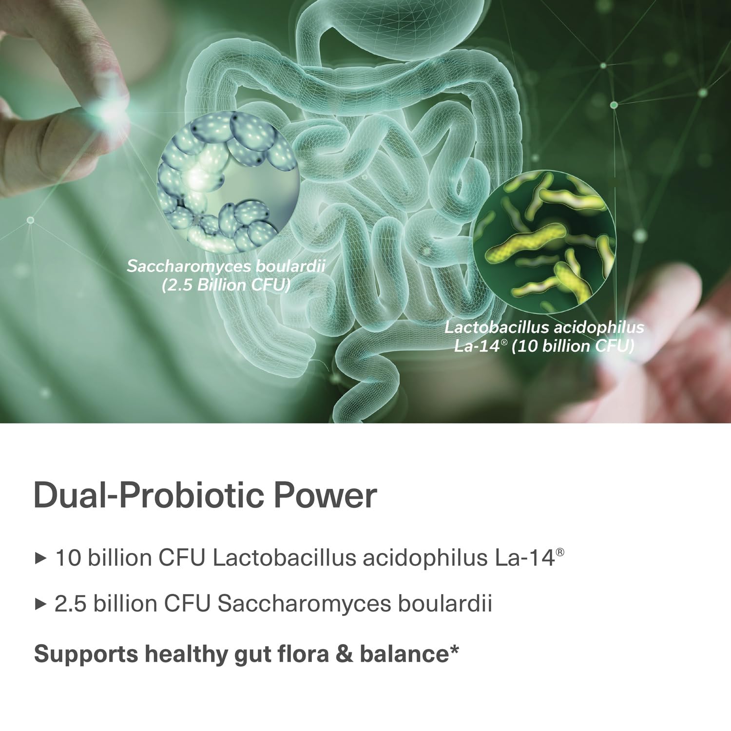 Travel Probiotics for Digestive Health, Immune Support & Occasional Traveler’s Diarrhea | Probiotics for Gut Health | Travel Essentials Supplement | Gut Protector | 30 Vegan Caps — Amazon image 7