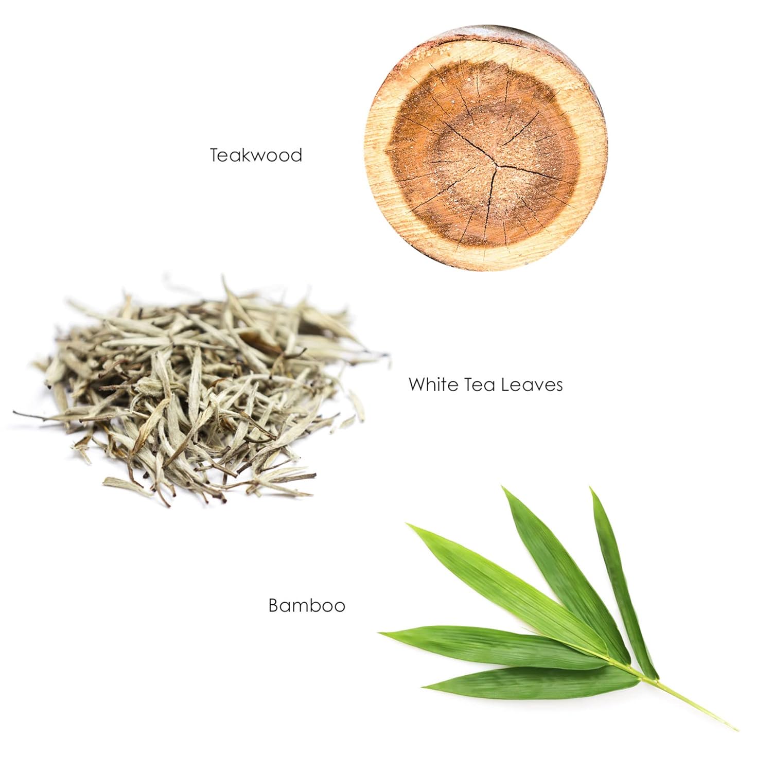 Gilchrist & Soames Reserve Body Lotion - 1 Gallon - All Skin Types, Zero Parabens, Sulfates, and Phthalates