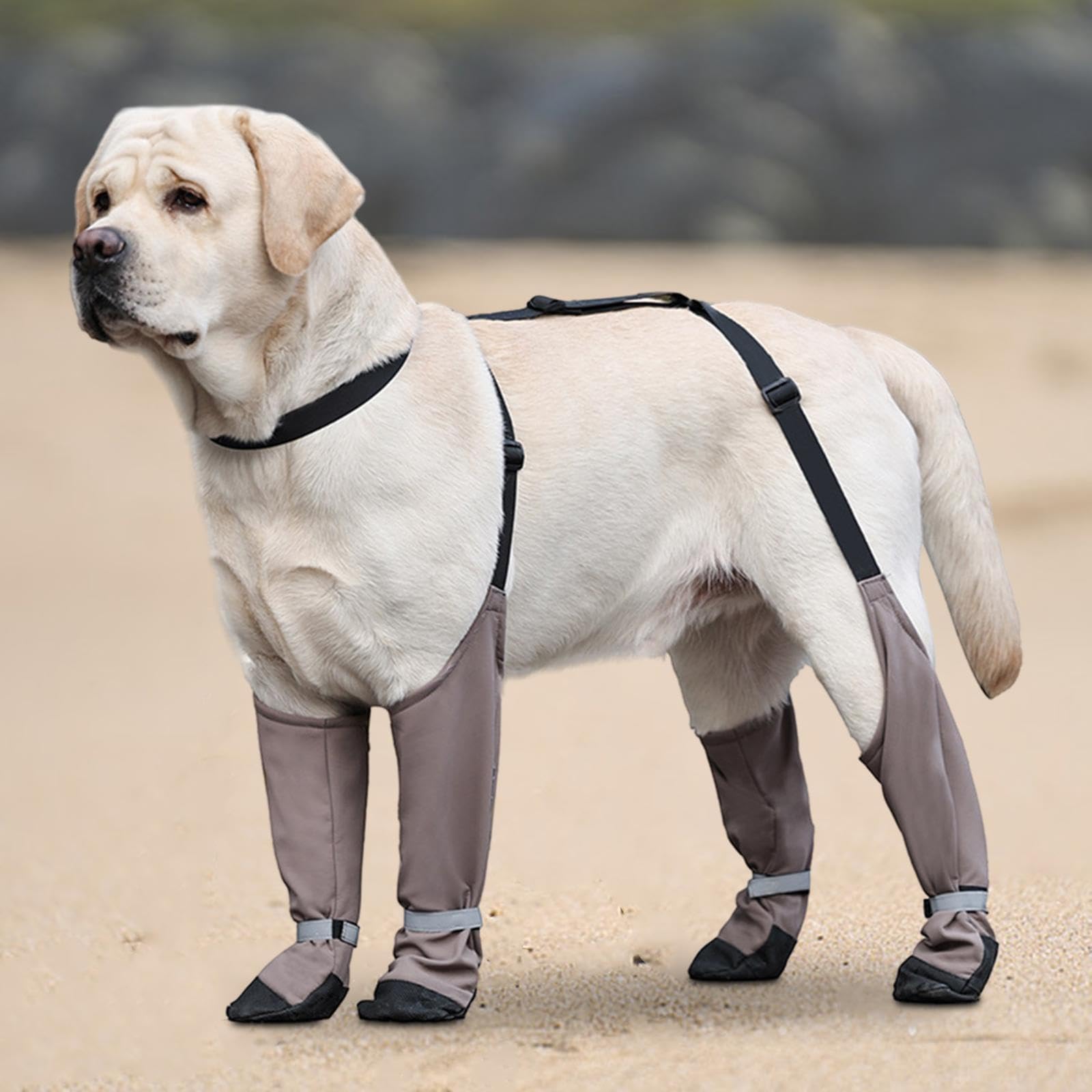 Bottes pour Chien Protège-Pattes Dechien Chaussures Antidérapantes Imperméables Réglables en Polyester Légères Confortables Fonction Anti-salissure AP, L