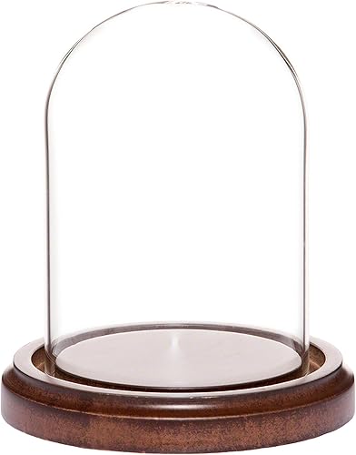 Plymor campana protectora de cristal para exhibición, de 3 x 4 pulgadas, abovedada