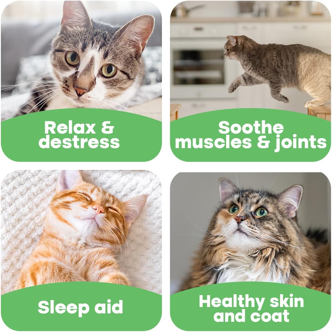 Made by Hemp - Bundle - 500mg Calming Drops for Cats and 500mg Natural Pet Paw Balm : Pet Supplies