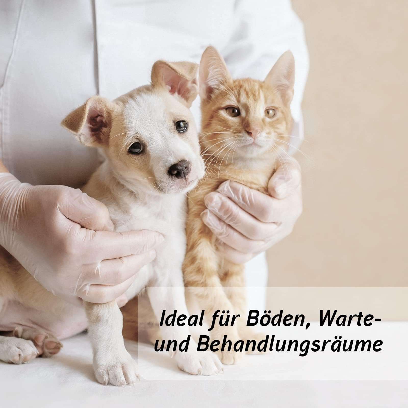 Biodor Animal Konzentrat 1L - Geruchsneutralisierer, Geruchsentferner & Reiniger für die Tierumgebung - Enzymreiniger Urin, Kot & anderen strengen Gerüchen - Hundeurin, Katzenurin Geruchsentferner