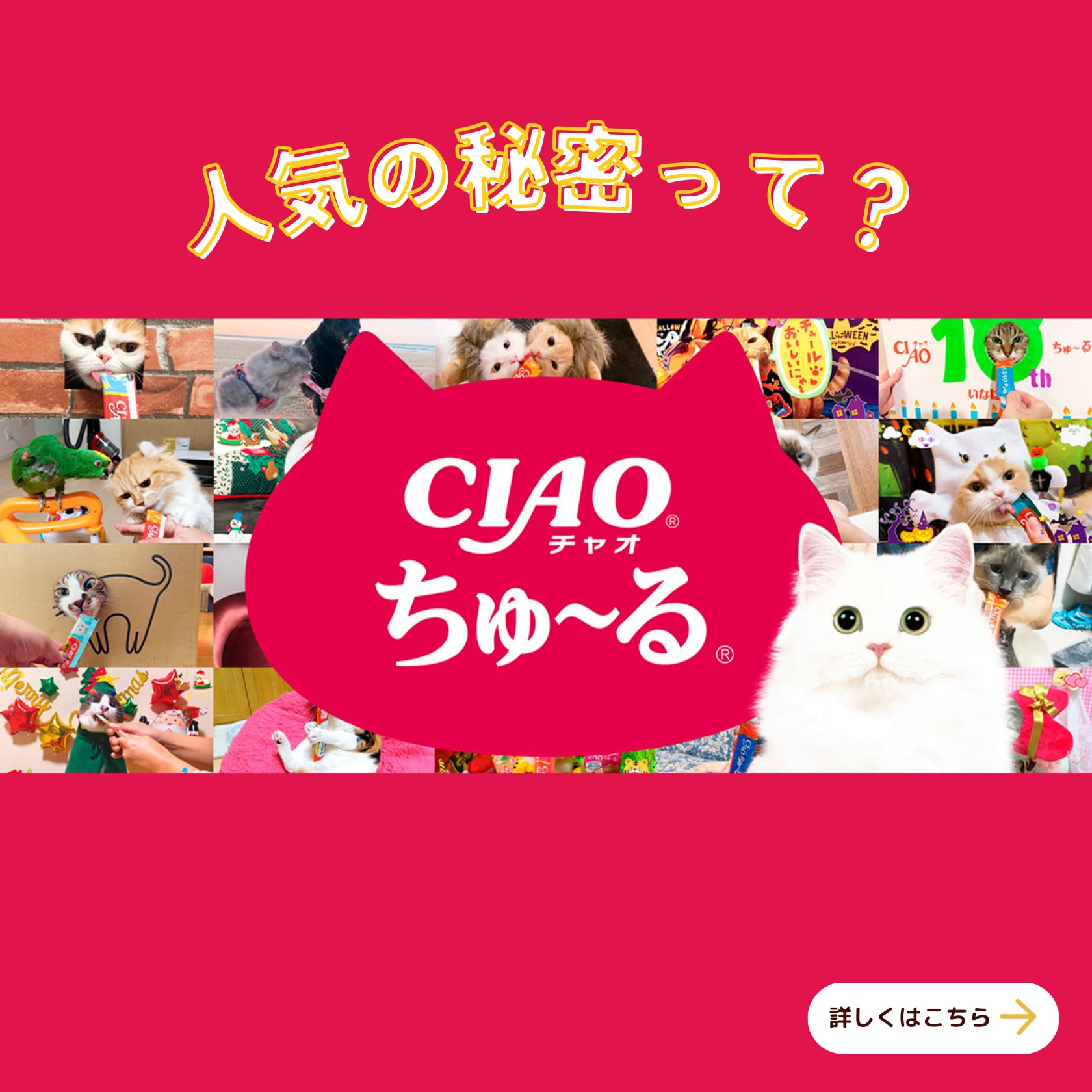 Amazon.co.jp: チャオ (CIAO) ちゅ~る まぐろグルメバラエティ 80本 猫 