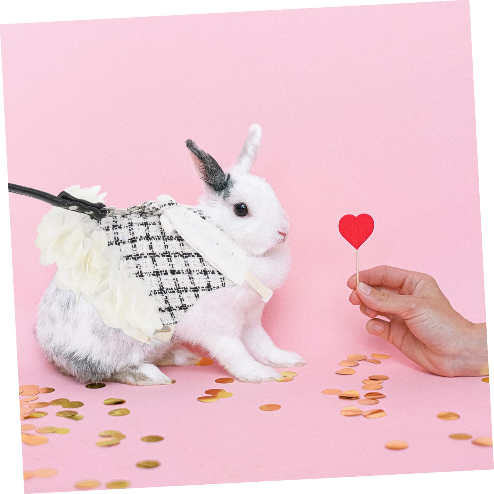 BESPORTBLE 3sätze Kaninchen Geschirr Mit Leine Niedliches Bunny Outfit Für Haustiere Atmungsaktives Design Für Besondere Anlässe Und Fotos Bequem Und Stilvoll