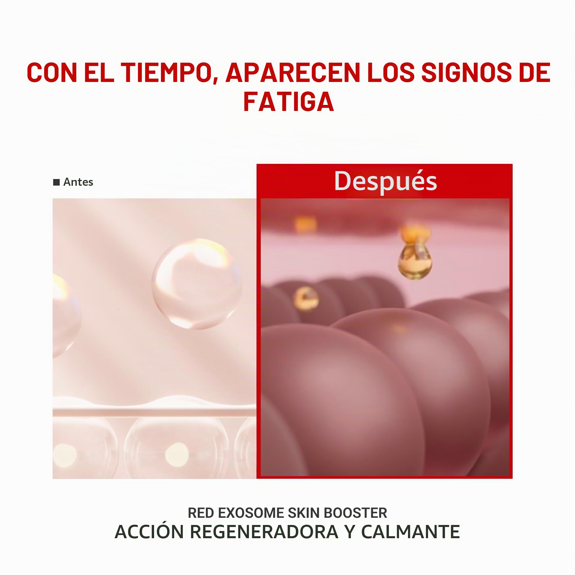 Differ&Deeper Sérum de Exosomas & PDRN – Booster Coreano Regenerador con Exosomas Vegetales, Reparación Barrera & Reafirmante, Cura 14 Días | 14 x 2 ml