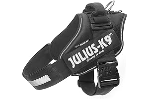 Julius-K9 Powerharness, Size L/1, Black