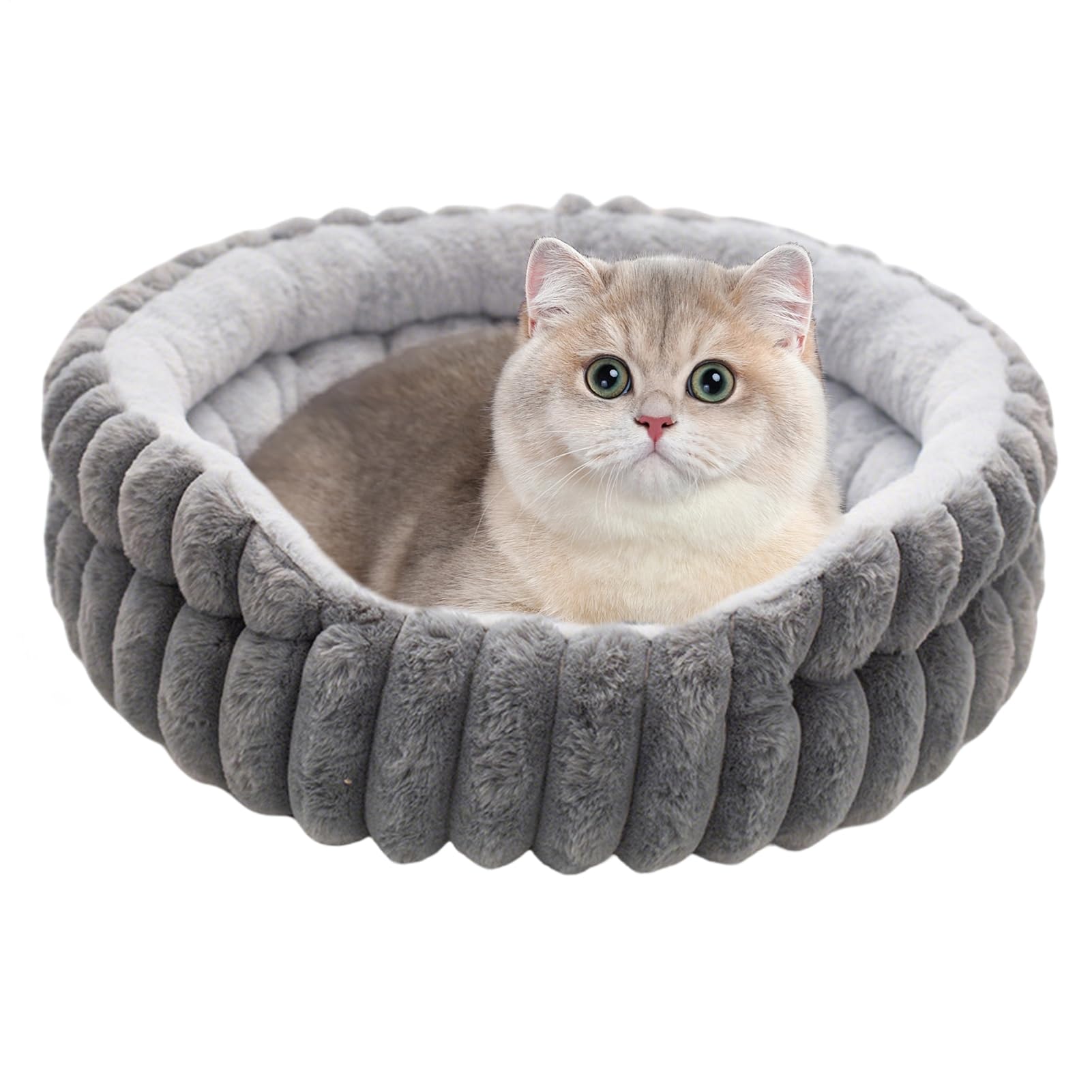 Katzenbett Betten für Hauskatzen