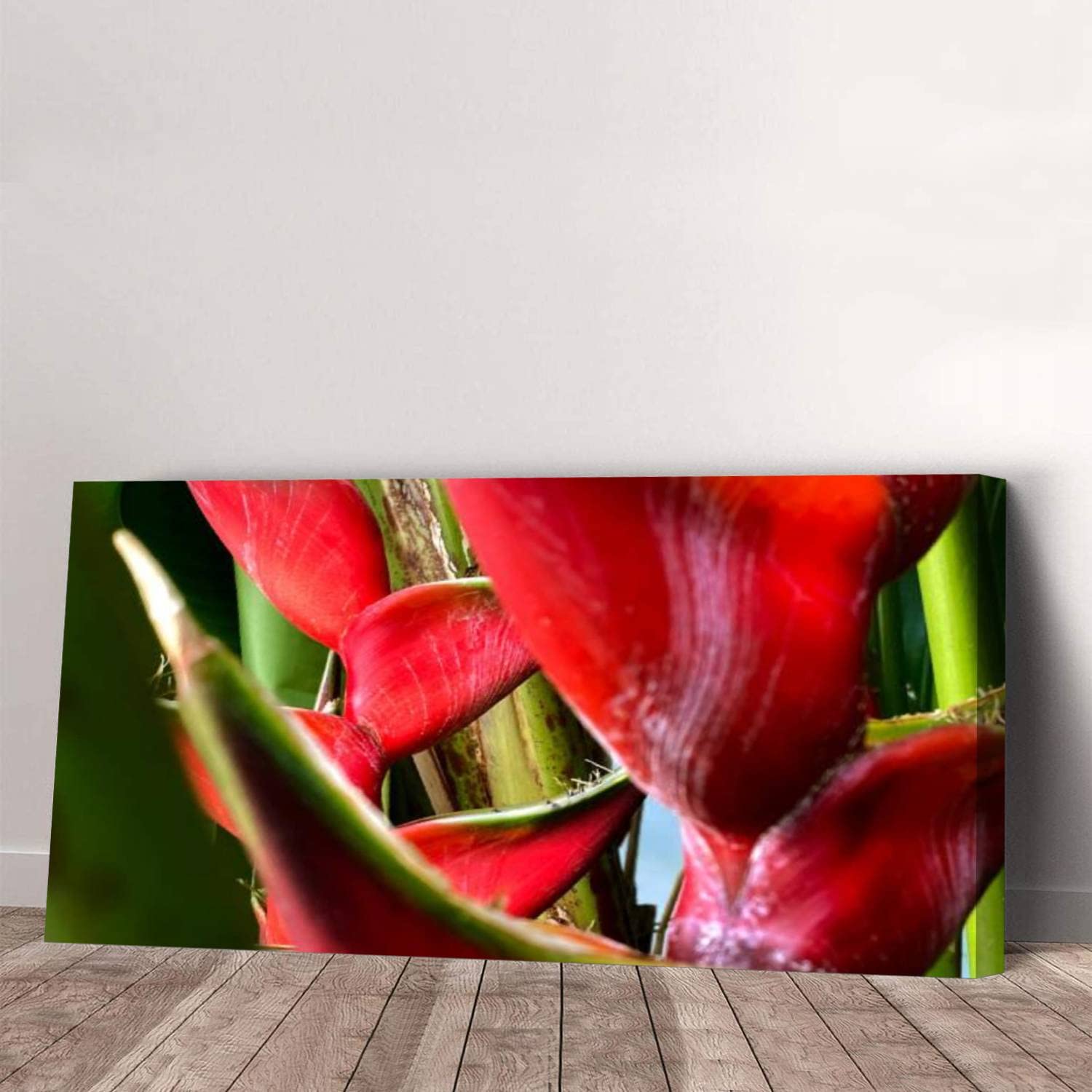Heliconia Bihai Tropical Flower Canvas Wall Artwork Exclusive Photography Unique Paintings Print on Canvas Home Decor Wall Art Ready to Hang 1 Panel