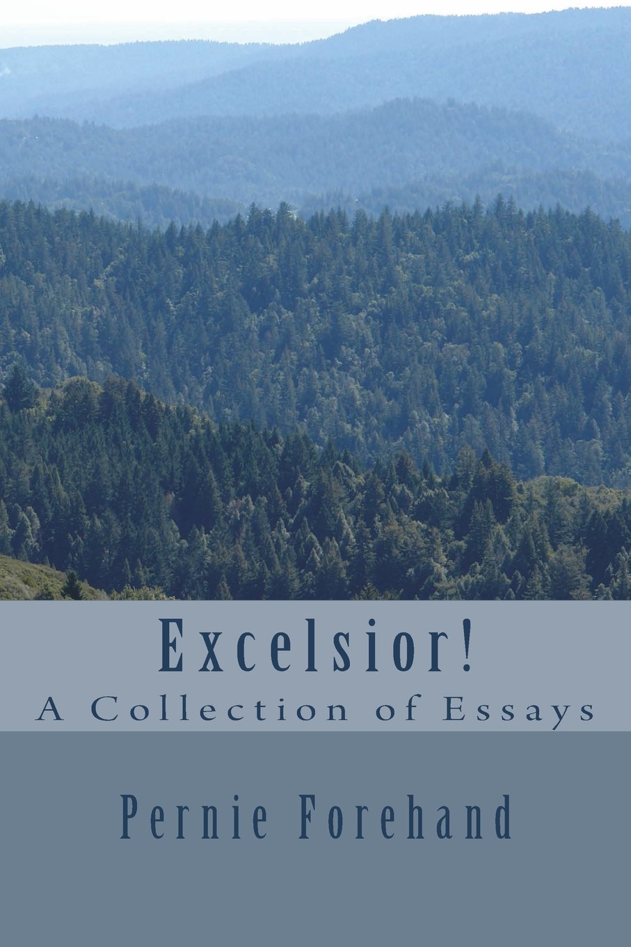 Excelsior!: A Collection of Essays