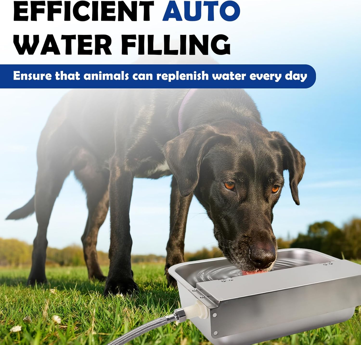 Automatic Water Dispenser for Dogs 2 Gal Stainless Steel Auto Pet Waterer Bowl for Small Animal, Dog, Chicken,Horse, Calf, Goat, with Drainage System, Float Valve, Hose and 3/4'' GHT Quick Connector