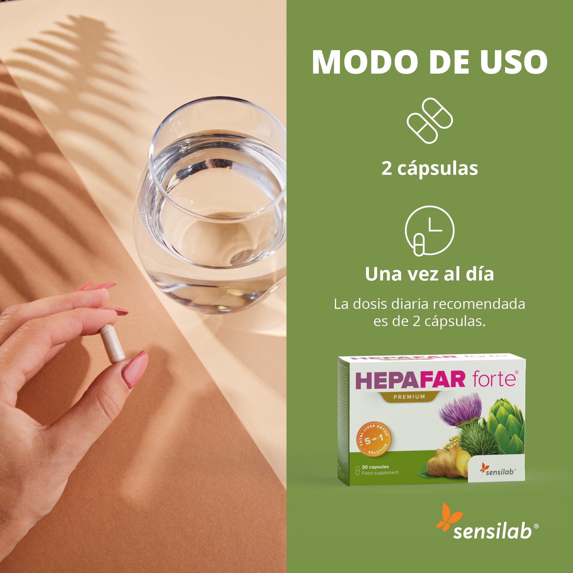 Detox - Cardo Mariano, Zinc, Alcachofa, Selenio, Jengibre, Diente de Leon, Vitamina E - Detox Higado - 120 Cápsulas para 60 días - Alta Biodisponibilidad - Hepafar Forte Premium, Sensilab