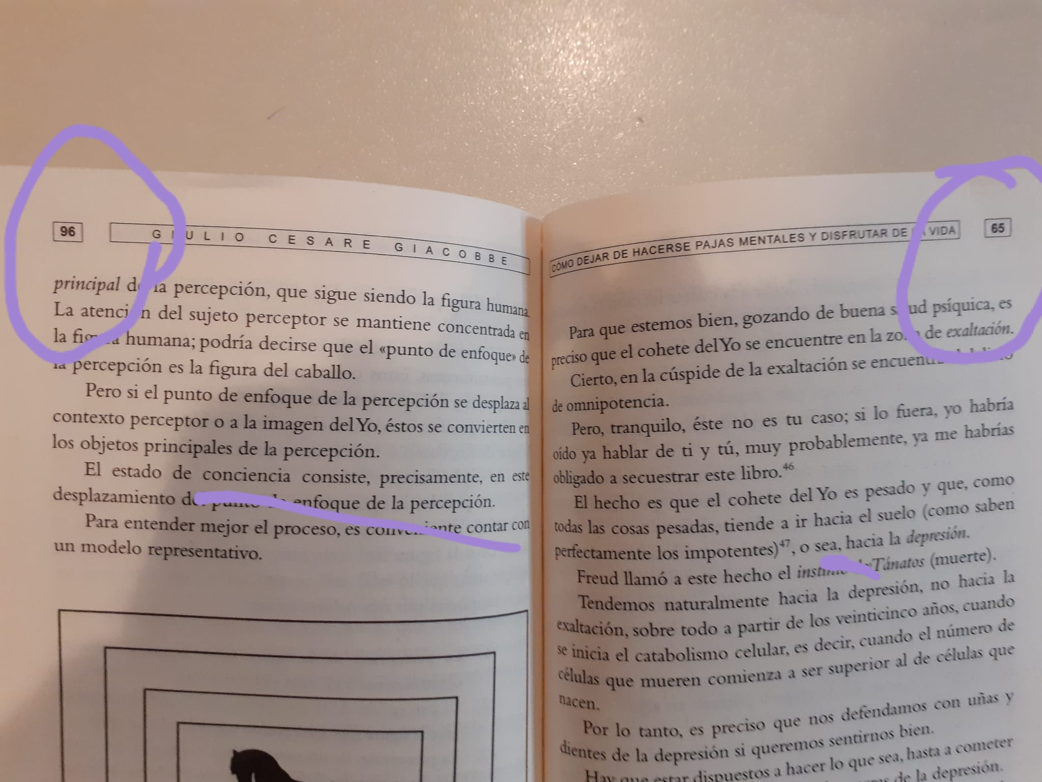 Como Dejar De Hacerse Pajas Mentales : Giacobbe, Giulio Cesare: Amazon