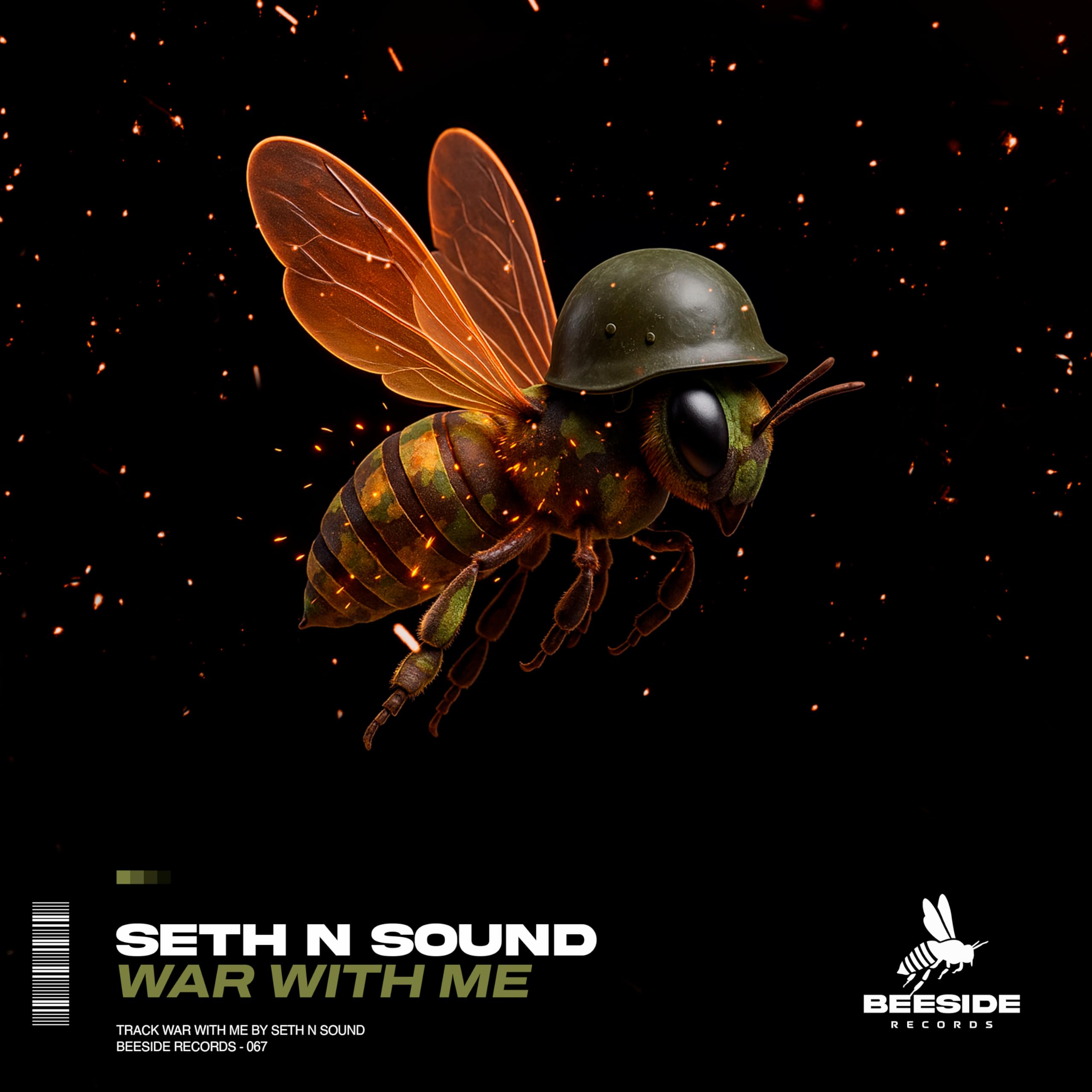 Seth n' Sound