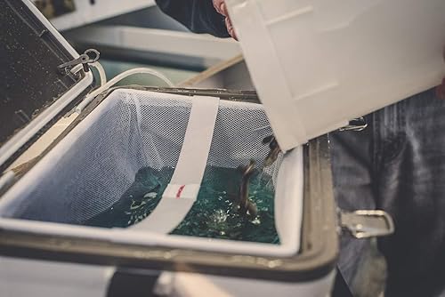 Miniatura 7 de Engel Caja enfriadora de cebo vivo con bomba aireadora de 2 generación de 2 velocidades, estación de pesca portátil y cubo de pececillos para