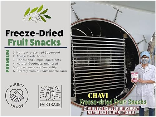 Miniatura 4 de CHAVI Bocadillo de fruta del dragón liofilizado en cubitos  12 onzas  Paquete de 6 x 2 onzas  Superalimento saludable de 1 ingrediente  Snack