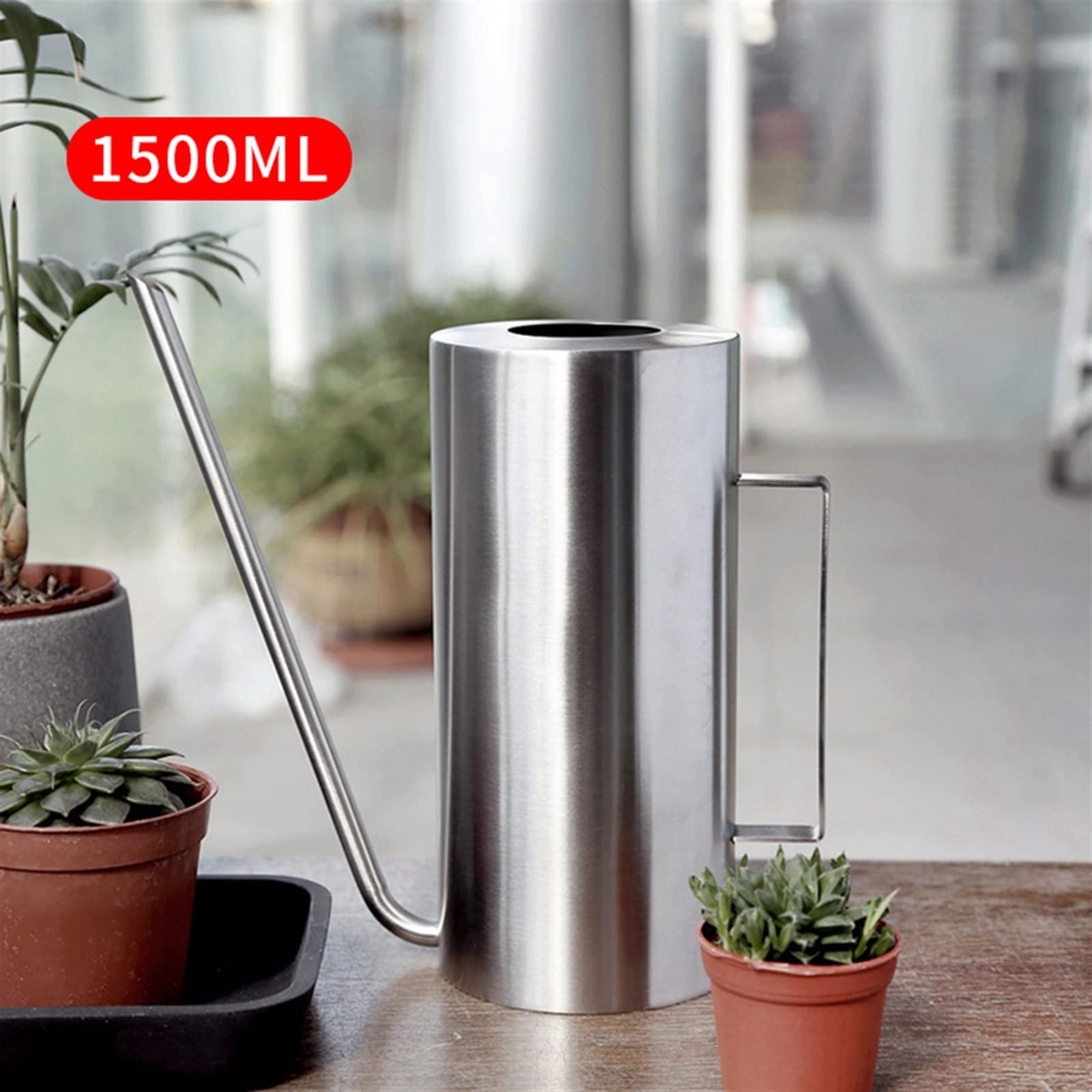 Arrosoir en acier inoxydable pour plantes d'intérieur avec long bec verseur - Outil de jardin