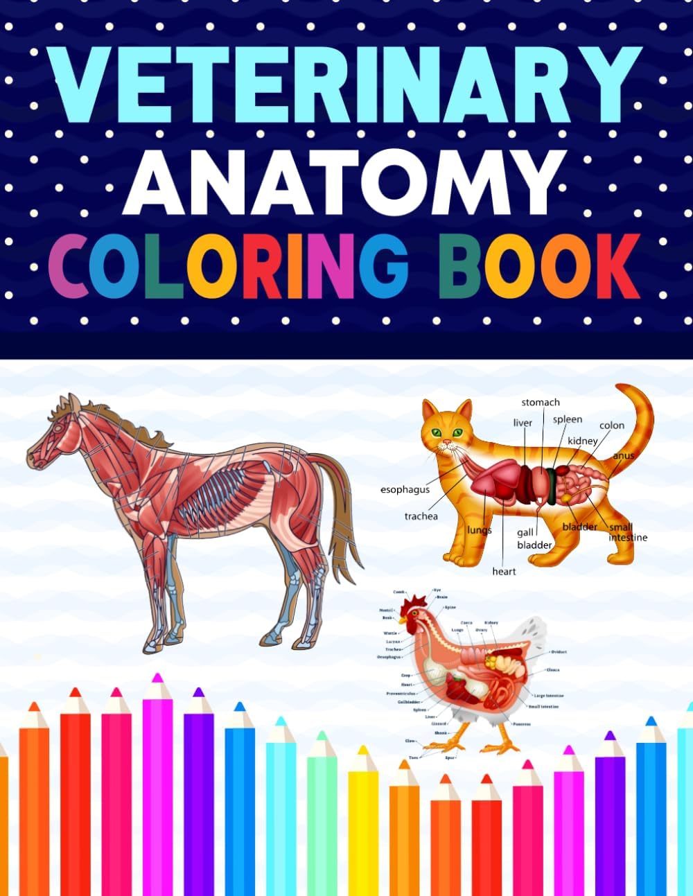 Veterinary Anatomy Coloring Book: Dog Cat Horse Frog Bird Anatomy Coloring Book. Perfect gift For All Ages Kids 4, 5, 6, 7, 8, 9 & 10. Vet tech ... Veterinary & Zoology Anatomy Coloring Book.