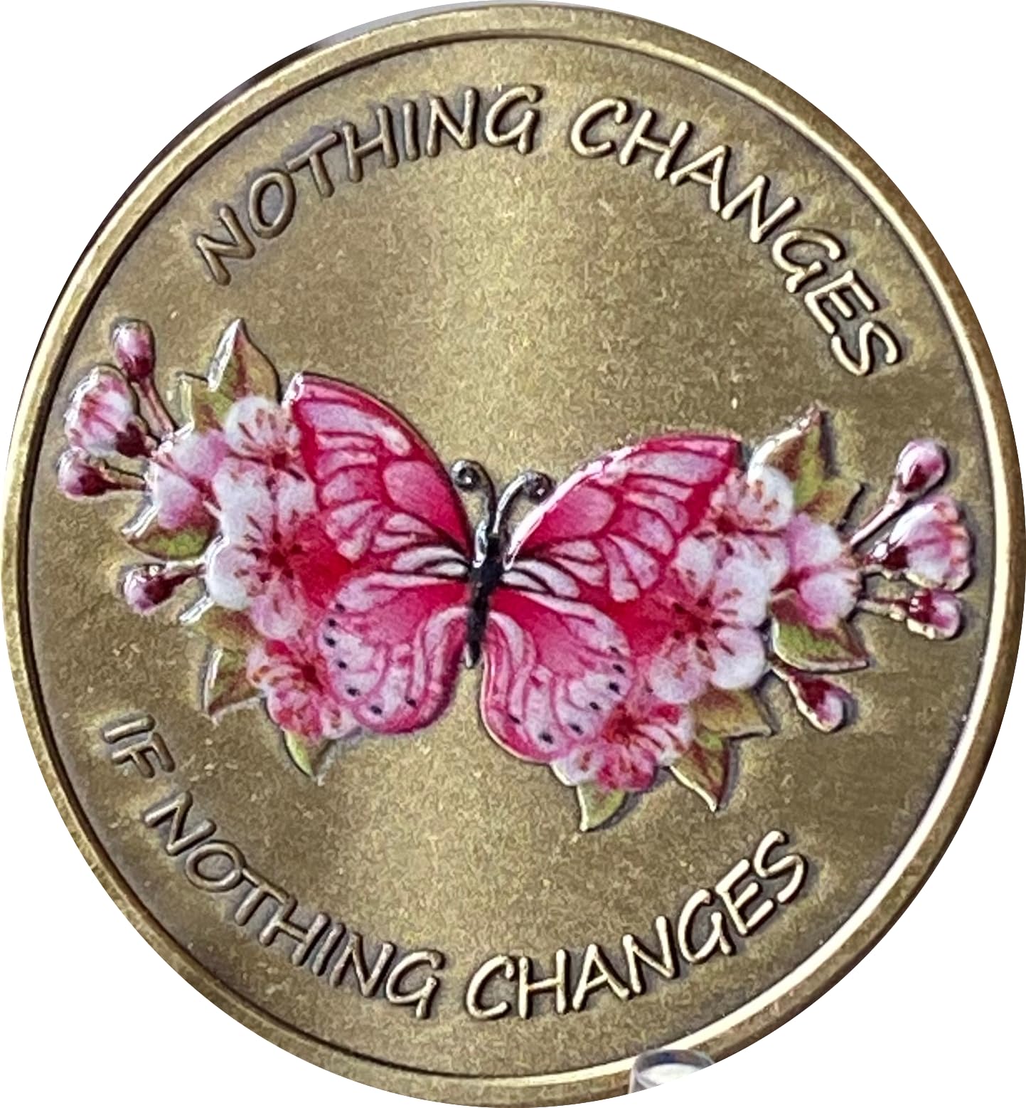 Nothing Changes If Nothing Changes Butterfly Flowers Serenity Prayer Medallion