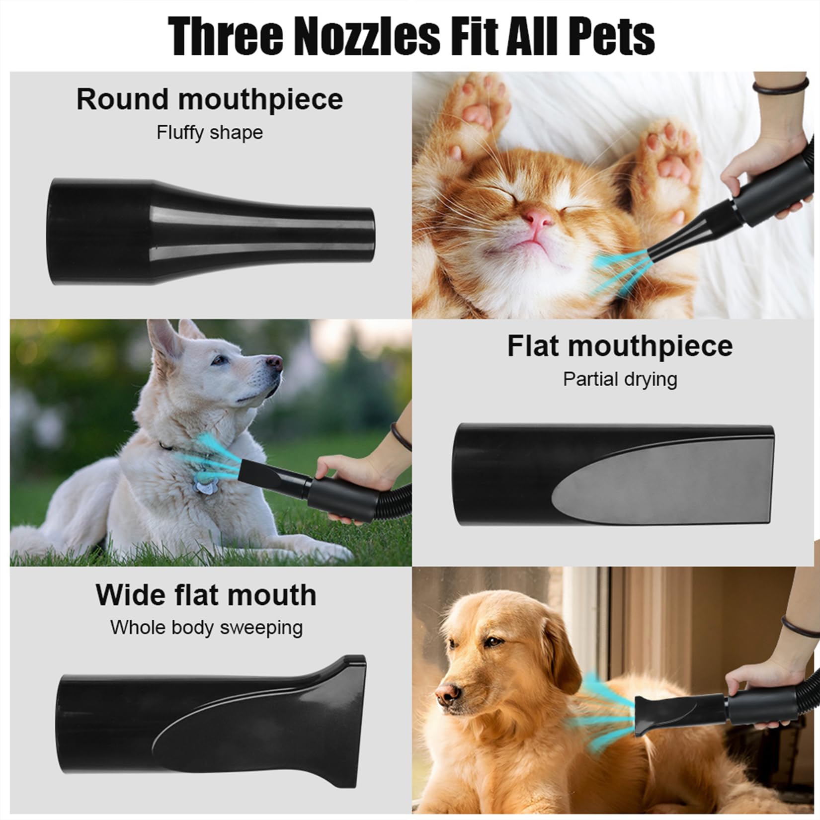 Pulseur Chien Professionnel Souffleur Chien Séchoir Sèche-Poils Toilettage Sèche-Cheveux pour Chien 2800W Sèche-Cheveux pour Animaux Vitesse Continue et température réglable avec 4 Buses (Noir)