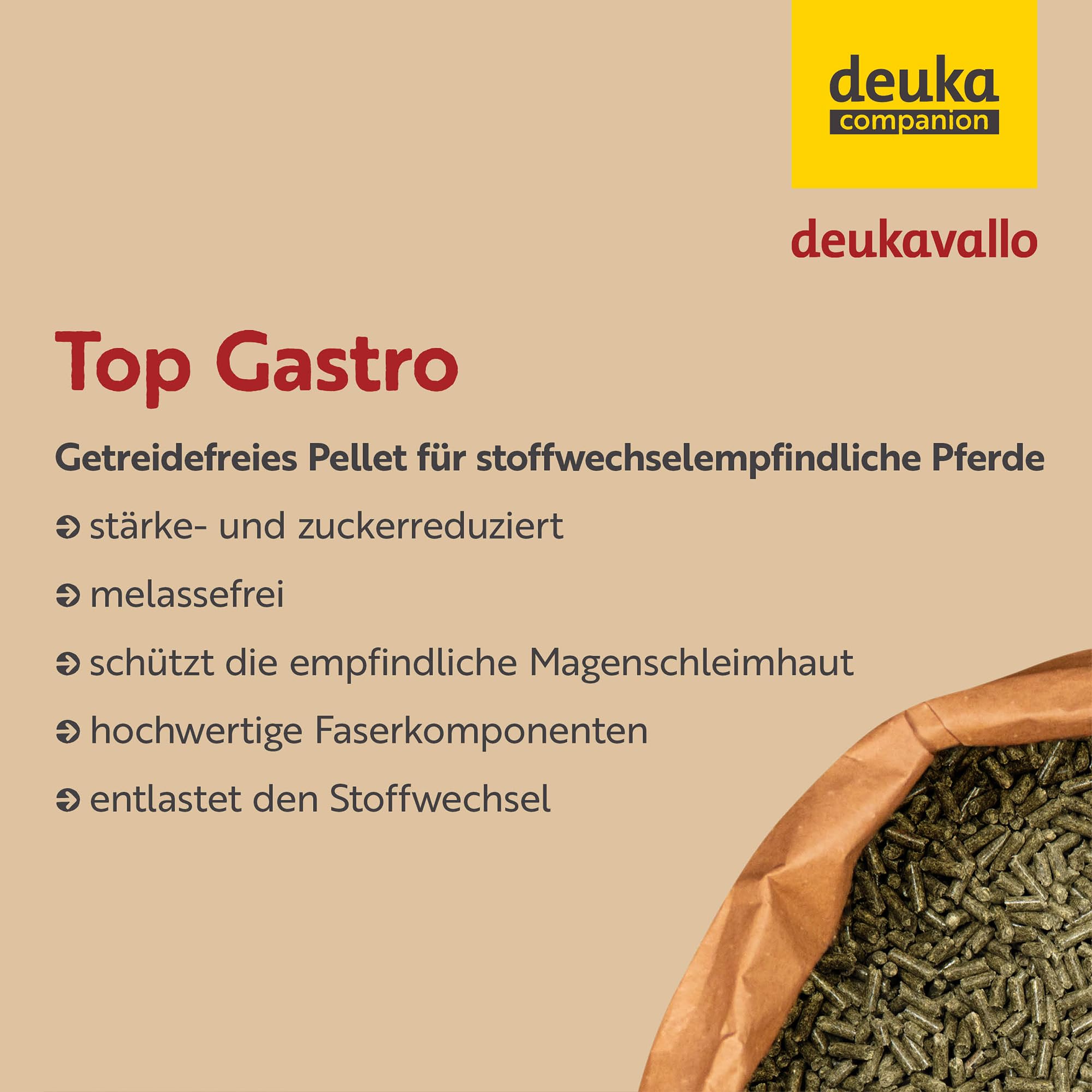 deukavallo Top Gastro 20 kg | Pferdefutter | Spezialfutter für Magen- und stoffwechselempfindliche Pferde | Ergänzungsfutter für Pferde…