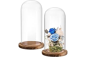 La Cupula: Glass Cloche Display Dome for Mesmerizing Display