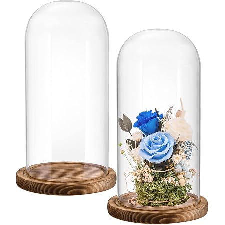 BELLE VOUS Glass Dome Cloche Bell Jar with Black Wooden Base - 17cm/6