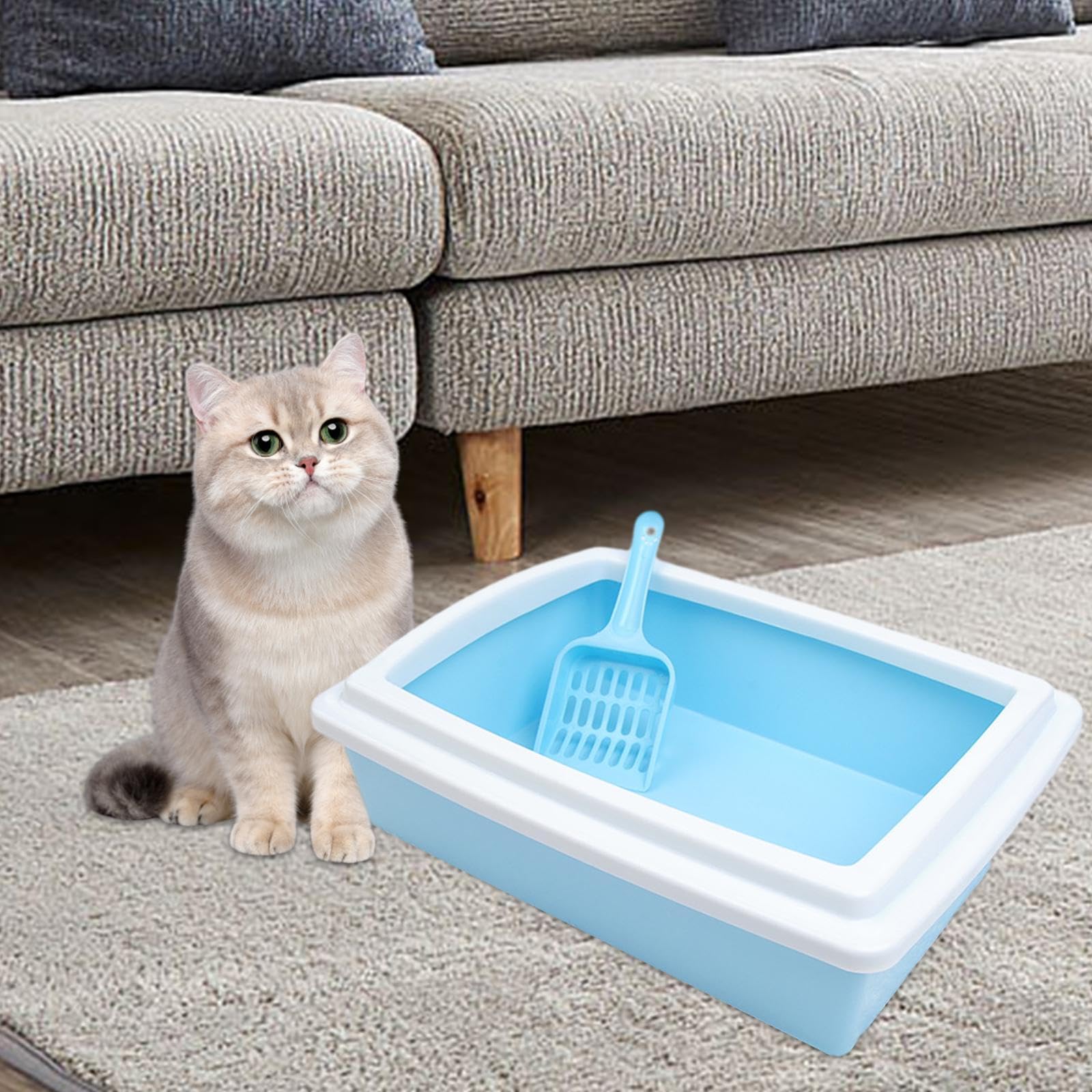 Lettaia, Lettiera for Gatti, vaschetta for lettiera for Animali Domestici(Light Blue)