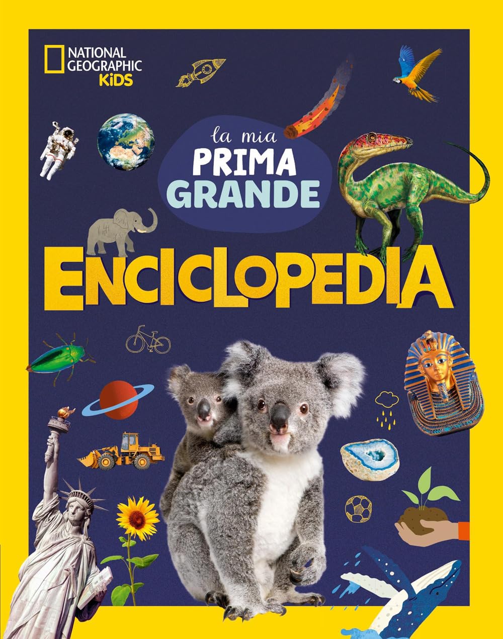 La mia prima grande enciclopedia. Ediz. a colori