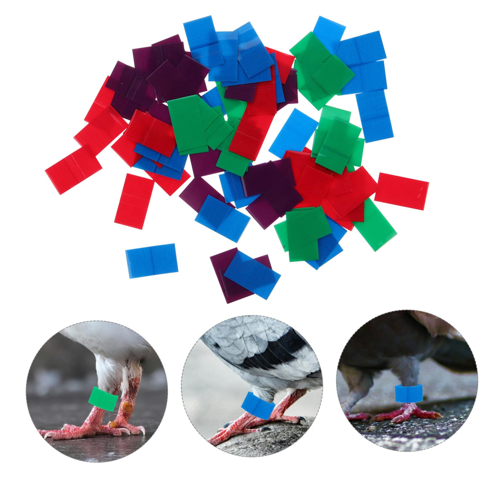 Parliky 80pcs Pigeon Foot Ring Heat Shrink Film Sealing Ring for Racing Pigeons Bird Supplies