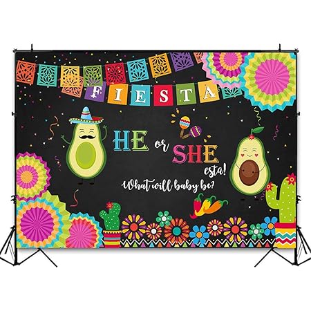 Party Decorations Baby Shower He Or She Gender Reveal Fiesta Backdrop Theme Themed Banner Party Supplies