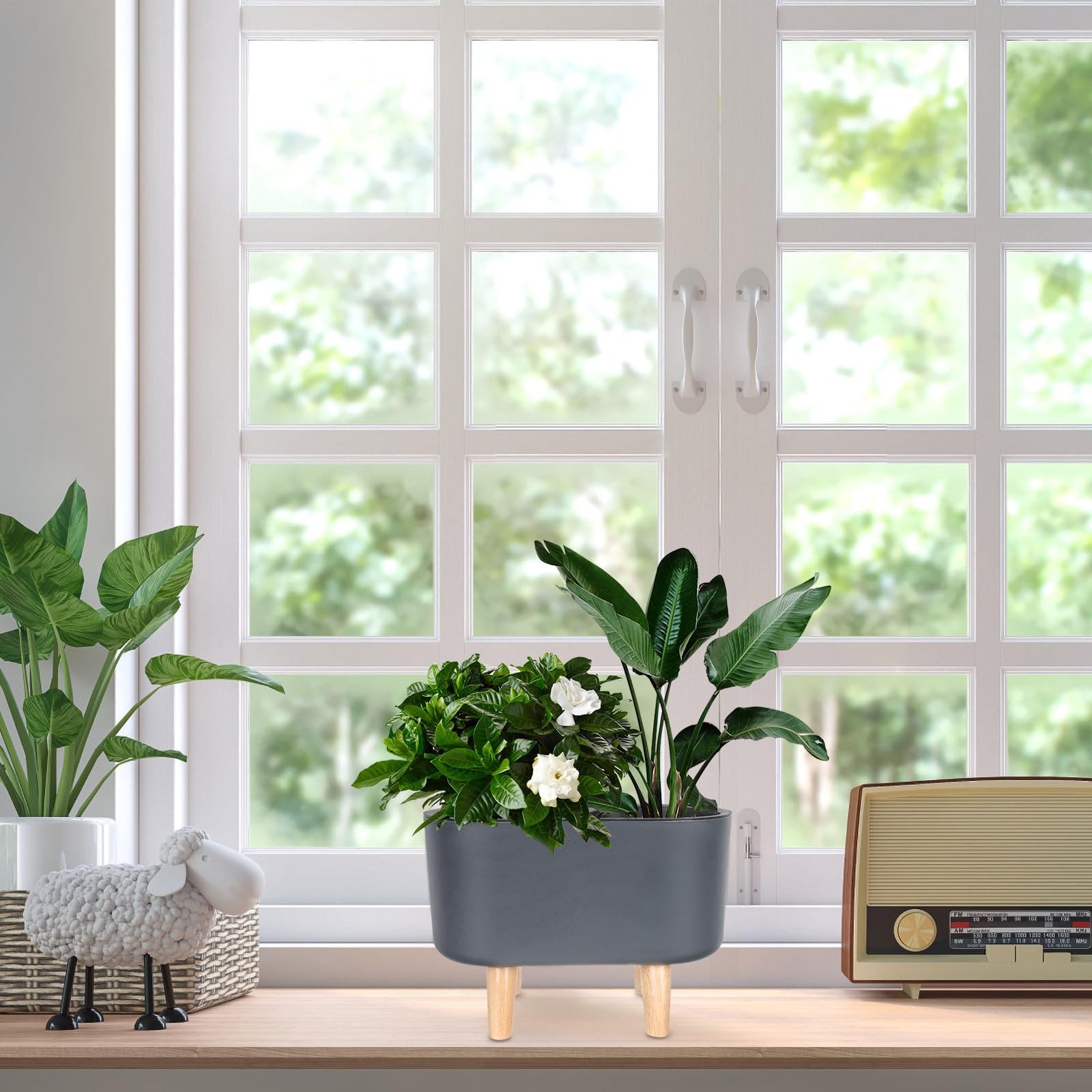 GLEAVI Jardinière à Arrosage Automatique Noir en Plastique Léger Système Auto-Irrigation pour Scindapsus Aureus et Plantes de Jardin Extérieur