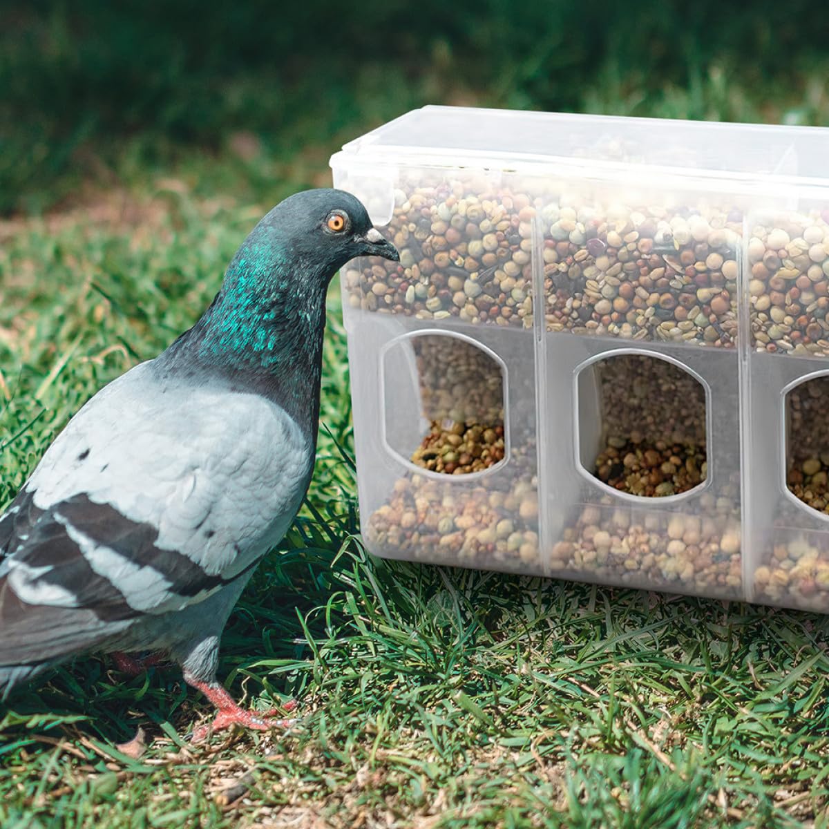 2 Stück Teiliges Vogelfuttersilo mit Kammern Auslaufsicherer Futterspender für Tauben Papageien und Wachteln Automatischer Futterautomat zum Aufhängen im Vogelkäfig Praktisch und