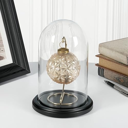 Miniatura 9 de Plymor Cúpula de cristal de 4.5" x 8" (base de chapa de roble)