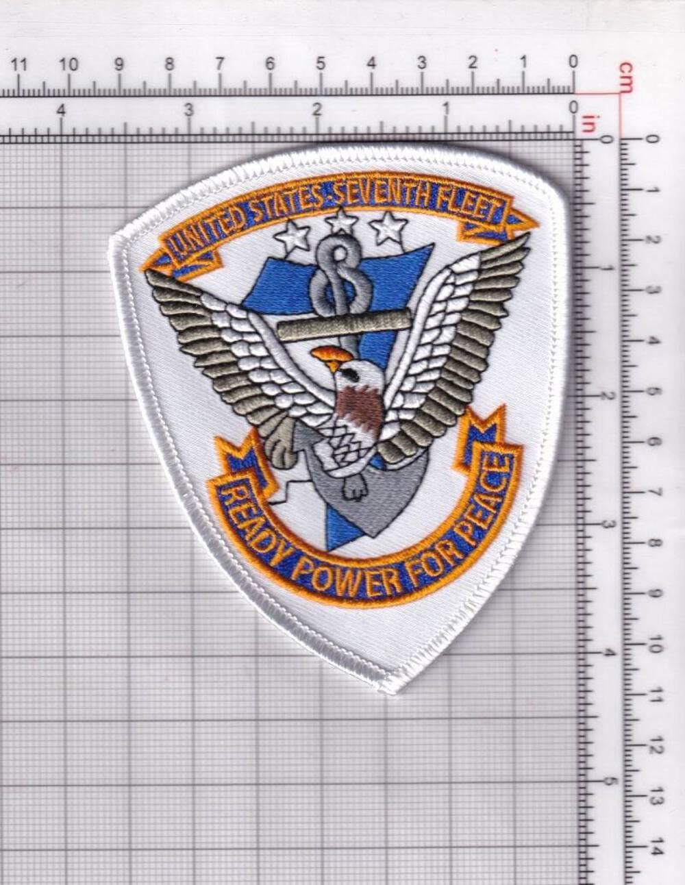 VAQ-139 Cougars Squadron Patch – Sew on, 4