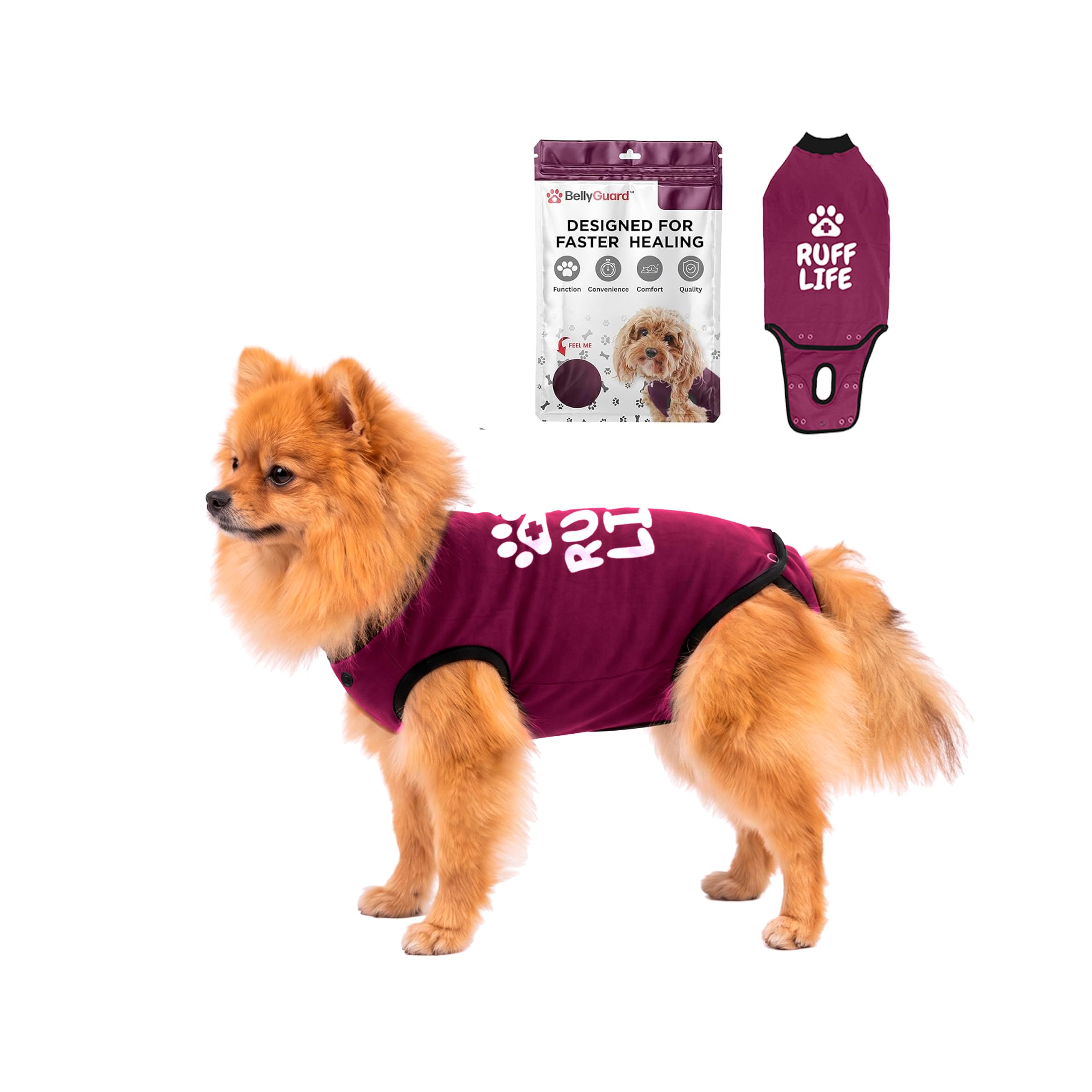 BellyGuard Dog Surgery Recovery Suit, Male Female After Spay Neuter Onesie