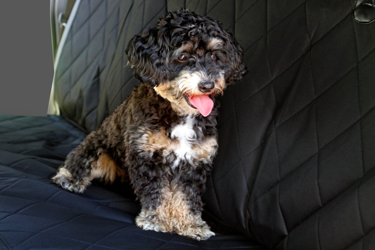 Pet Seat Cover for Cars by Purple Pet | Solid Black, Waterproof, Durable, Padded | Dog Hammock Fits Most Autos, SUV, Trucks | Great For Big Dogs | Full Warranty Included