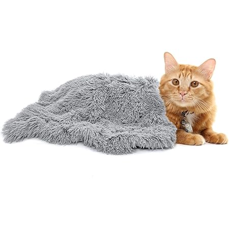 cat snuggle blanket